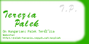 terezia palek business card